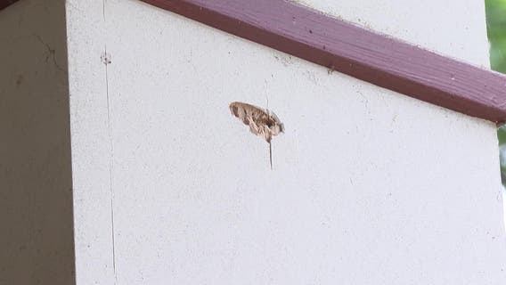 Wrong house? East Atlanta home riddled with bullets in seemingly random shooting