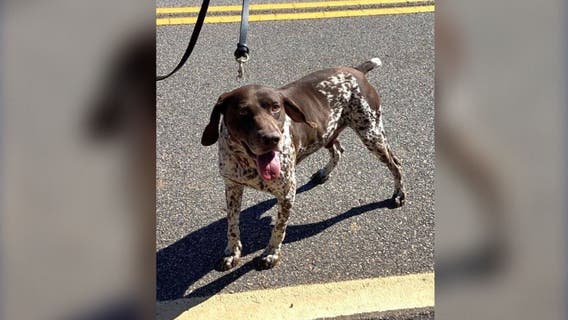 Atlanta airport K-9 officer who ran away from home finally found