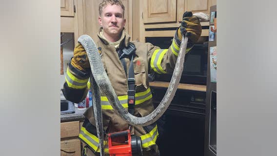 Large snake blamed for small fire under oven in Carroll County