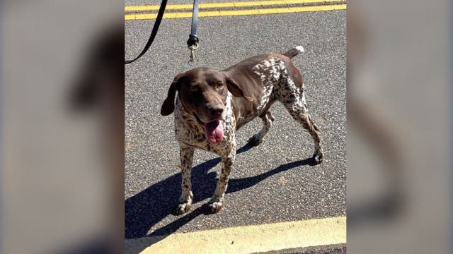 Atlanta airport K-9 officer who ran away from home finally found