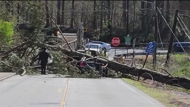 DeKalb County family blames GDOT after tree crushes car, paralyses man