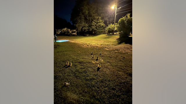 Shooting at Morgan County outdoor party, sheriff's office looking for witnesses