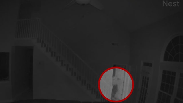 Sophisticated, multi-state serial burglar thwarted by simple camera setup, police say