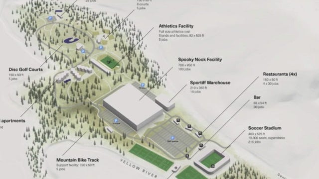 Multi-million dollar soccer stadium proposed in Rockdale County