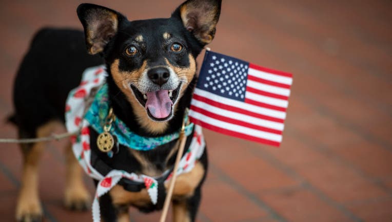 Chihuahuas reveal merchandise for Independence Day Celebration