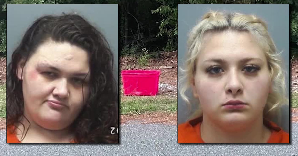 2 women accused of leaving puppies inside tote to die in scorching heat ...