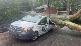 PHOTOS: Tree falls on USPS truck in Athens