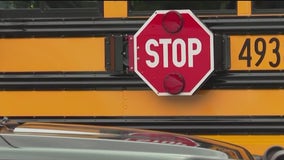 Do you know what to do when you see a Georgia school bus stop?