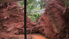 DeKalb County family barely escapes as trees crash through house during intense storm