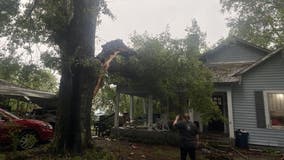 Georgia couple says storms brought down tree onto newly purchased home