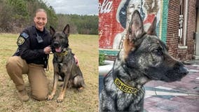 Cobb County K-9 officer dies of cancer, memorial scheduled