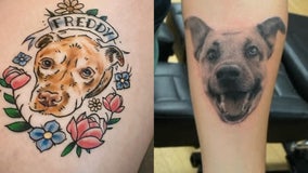 National Dog Day: Win a tattoo of your furry friend