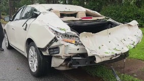 Grantville woman says she's lucky to be alive after tree falls on car