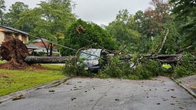 Car split in two, trees topple; Saturday storms knock lights out for some Georgians