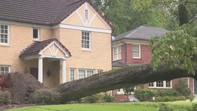 Georgia officials warn of scams after storms | How to protect yourself