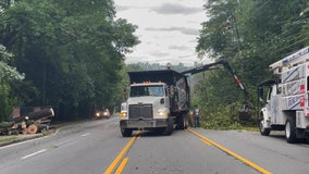 Crews clear fallen trees blocking Roswell Road in Sandy Springs