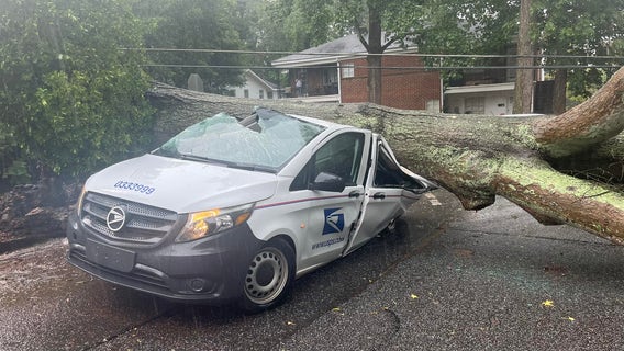 PHOTOS: Tree falls on USPS truck in Athens