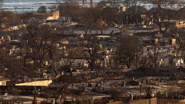 Maui fire death toll climbs to 93, now the deadliest wildfire in modern US history