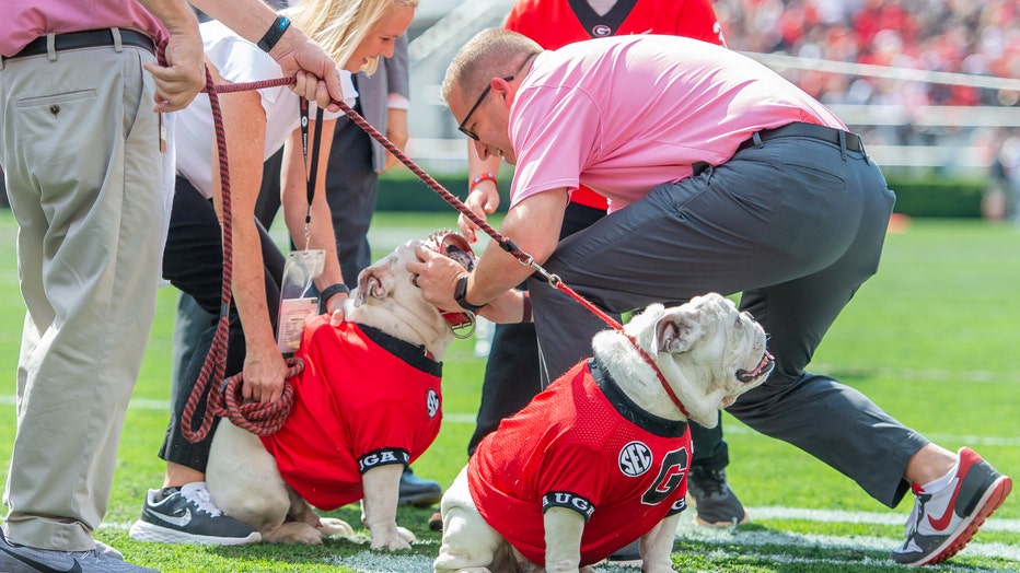 FOX 5 Atlanta named official partner of Georgia Athletics