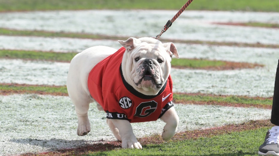 Watch: Former Bulldog greats participate in UGA day at the Braves game