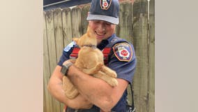 Decatur Fire rescues crying kitty from deep hole