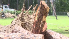 Sens. Ossoff, Warnock survey Hurricane Idalia damage in Valdosta, promise assistance