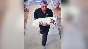 Polk County looking for man who reportedly left dog at animal control office
