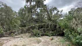 FEMA warning Georgians of Hurricane Idalia disaster relief scams