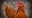 PETA to memorialize chickens killed in Hall County truck accident
