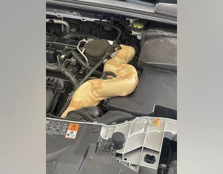 e0cc99ec-