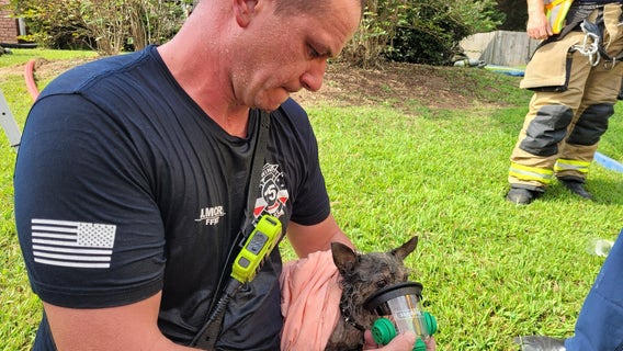 Firefighters rescue pup from burning Lawrenceville home