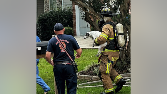 Two dogs rescued from Alpharetta house fire on Thursday