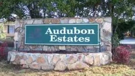 Man in wheelchair, dog struck by hit-and-run driver in McDonough