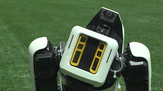 Meet Benzie, the robot security dog at Mercedes-Benz Stadium