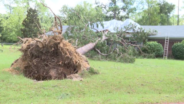 Was your property damaged by Hurricane Idalia? GEMA wants your photos