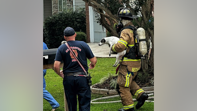 Two dogs rescued from Alpharetta house fire on Thursday