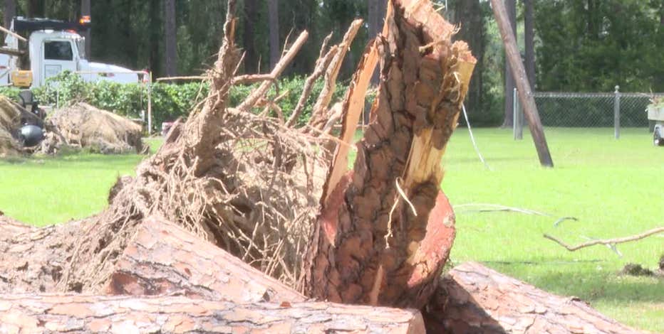 Sens. Ossoff, Warnock survey Hurricane Idalia damage in Valdosta, promise assistance