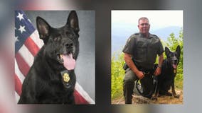 DNR Game Warden K-9 dies unexpectedly while tracking poacher near Oconee National Forest