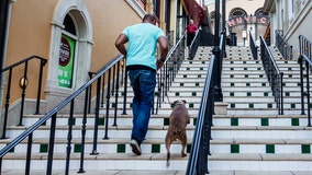 Climbing stairs may lower heart disease risk, study finds