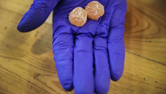 Michigan dog attacks, nearly kills owner after being fed THC gummy