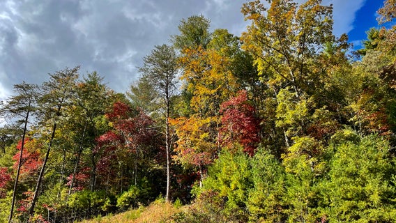 Escape to Suches: North Georgia's hidden gem for fall