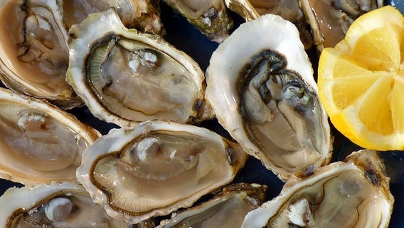 Atlanta woman slurps down 48 oysters in viral TikTok — driving her date to ditch the tab