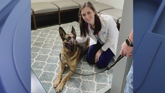 Veterinarian who treated wounded Coweta K9 honored with award