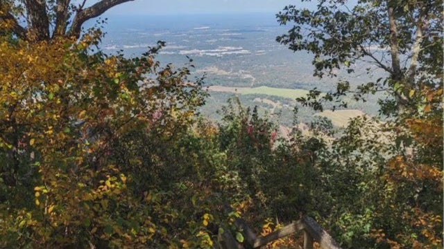 Leaf Watch 2023: North Georgia to see 'kaleidoscope of autumn splendor' in coming weeks