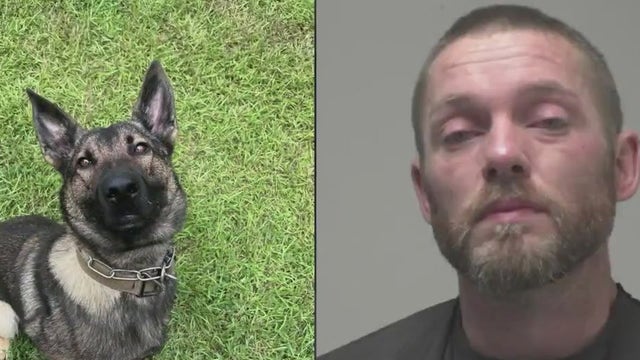 Coweta County rookie K-9 Officer Steve-O nails his first arrest