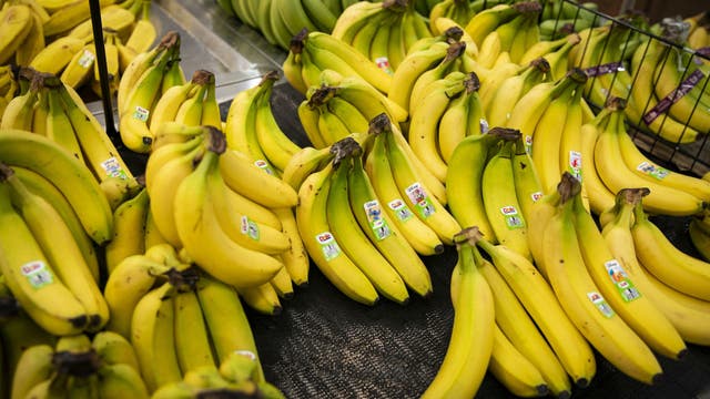 Will bananas go extinct? Fungal disease threatens popular variety, scientists warn
