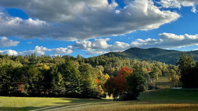 Georgia fall leaf guide: Scenic drives, parks and hidden gems