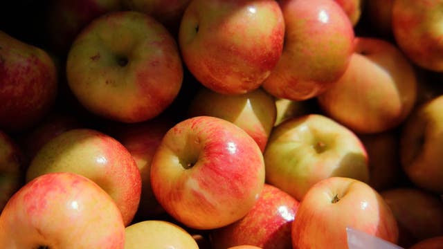 Apple picking, pumpkin patches, corn mazes and fall festivals in North Georgia | Fall 2023