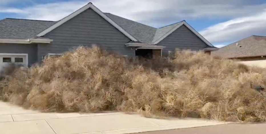 Tumbleweeds overrun Utah neighborhood following strong winds
