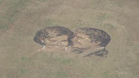 Artist creates massive portrait of Rosalynn and Jimmy Carter at Freedom Park